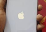 Apple iPhone 11 128GB Fresh (Used)