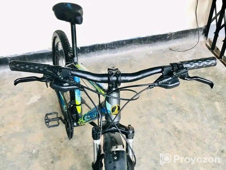 Phoenix 26 inch bicycle oil brake