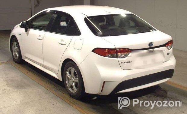 Toyota Corolla Pre Order 2020