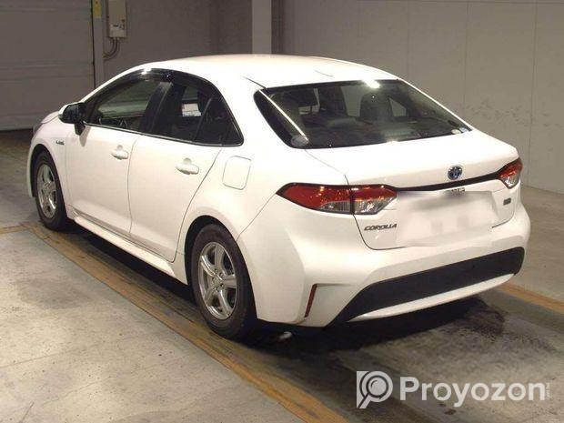 Toyota Corolla Pre Order 2020