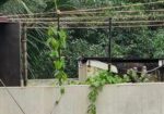RAJUK UTTARA SECTOR -03 EAST FACING 60 WIDE ROAD P