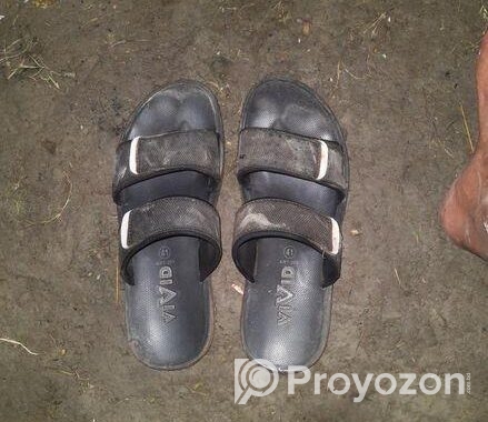 Limited Addition Slipper