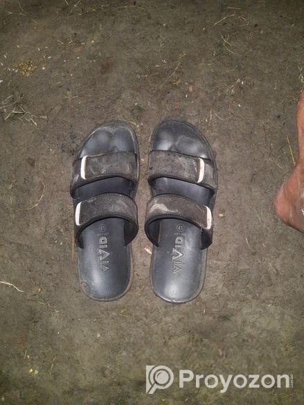 Limited Addition Slipper