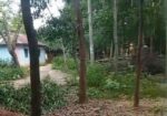 ৬০ শতক জায়গা বিক্রি করা হবে