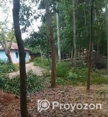 ৬০ শতক জায়গা বিক্রি করা হবে