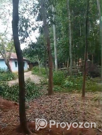 ৬০ শতক জায়গা বিক্রি করা হবে