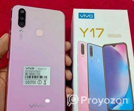 Vivo Y17 8/256 (Used)