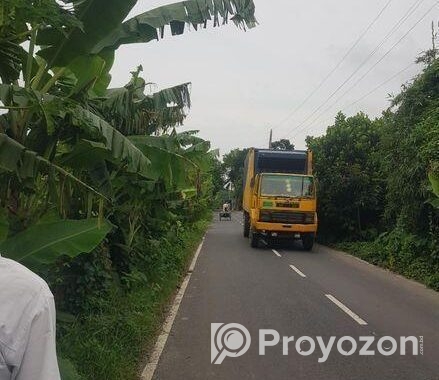 জাজিরা শরিয়তপুর মেইন রোডের সাথে নাওডোবা গনি মোড়ে ৮