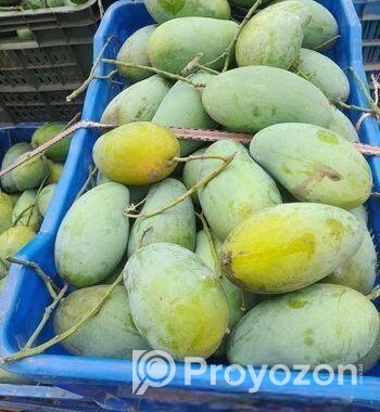 আম্রুপালি প্রিমিয়াম কোয়ালিটি আম