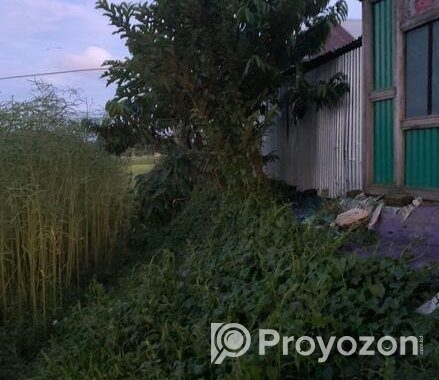 নিষ্কন্ঠক জমি , এখন বসবাস করার উপযোগী