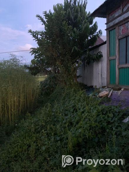 নিষ্কন্ঠক জমি , এখন বসবাস করার উপযোগী