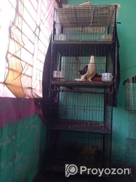 কবুতরের চার তলা খাচা ২৬”/১৮”