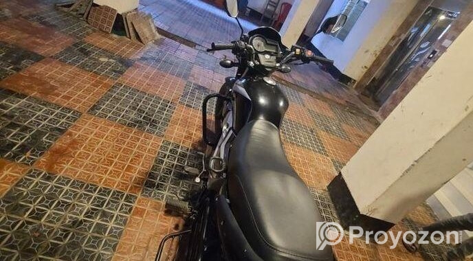 Runner Royal Plus 2022
