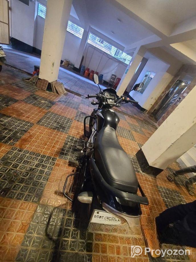 Runner Royal Plus 2022