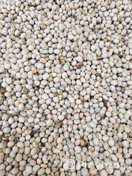 মুগ কালই কাতি কালাই, সিমের পিসি পাকড়া