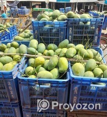 আম্রুপালি প্রিমিয়াম কোয়ালিটি আম