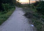 নিষ্কন্ঠক জমি , এখন বসবাস করার উপযোগী