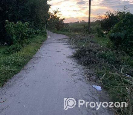 নিষ্কন্ঠক জমি , এখন বসবাস করার উপযোগী