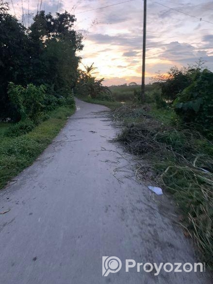 নিষ্কন্ঠক জমি , এখন বসবাস করার উপযোগী