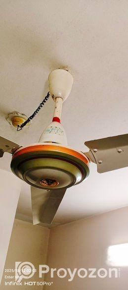 ফ্যান সেল হবে