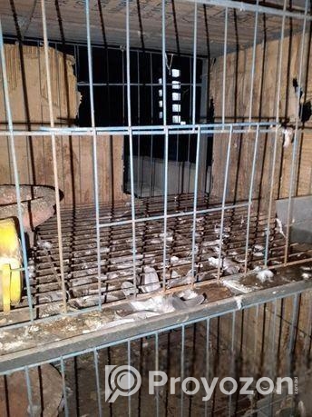 কবুতরের লোহার খাচা