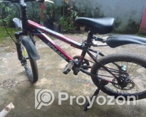 fitted-51_2025-08-24_10-52-19