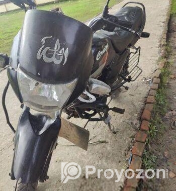 Walton Cruize 2018