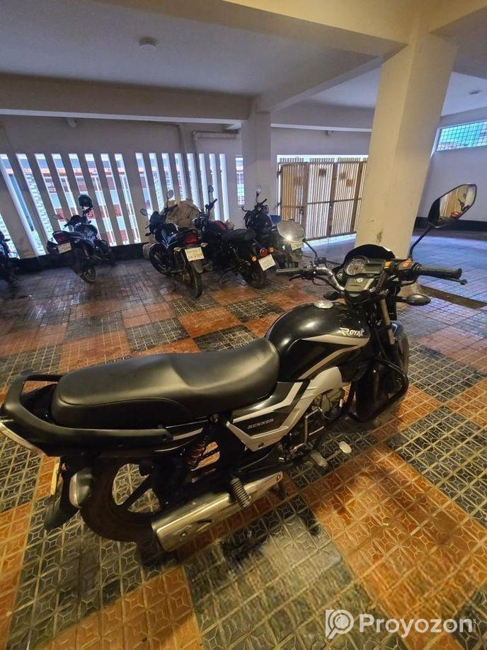 Runner Royal Plus 2022