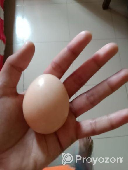 দেশি মুরগির ডিম বিক্রি হবে