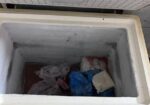 Used Deep Freeze