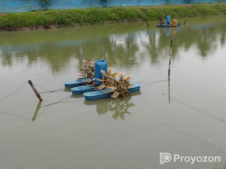 ৪ পাখা এরোটার বিক্রি