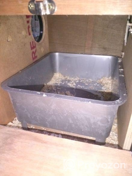 ককাটেল পাখির ব্রিডিং বক্স