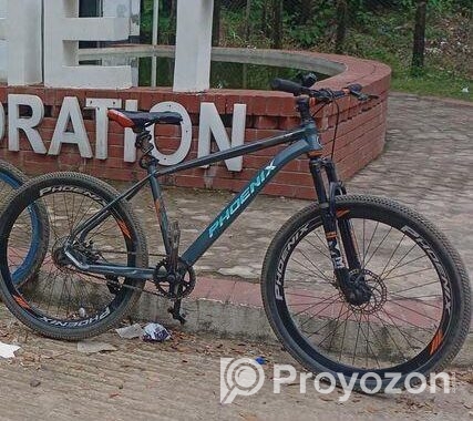 Phoenix Bicycle for sale