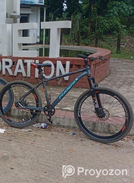 Phoenix Bicycle for sale