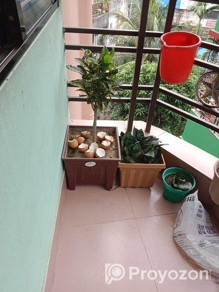 গাছ ও টপ