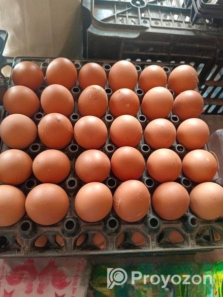 ডিম বিক্রি হবে