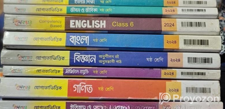 Class 6 Guide, 2024