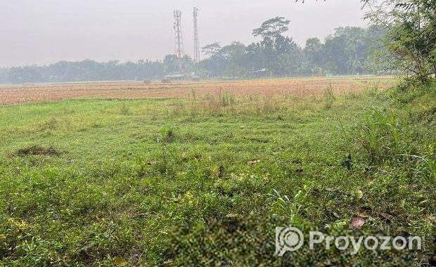 পার্টনারশিপ চাই