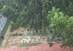 রাস্তার পাশে বাড়ি করার জন্য উপযুক্ত জমি বিক্রয়