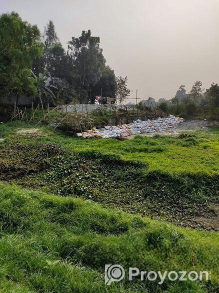 ১২ শতক ভরাট করা জমি। কাগজে শতন কিন্তু জমি আরো বেশি