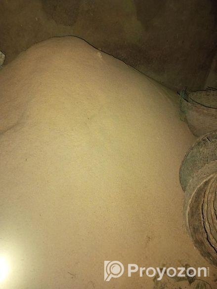 ধানের গুরা