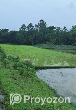 মৌলভীবাজার সমসেরগঞ্জ সড়কে ফ্যাক্টরি/ফার্ম করার উপয