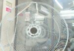 New Fan for sell