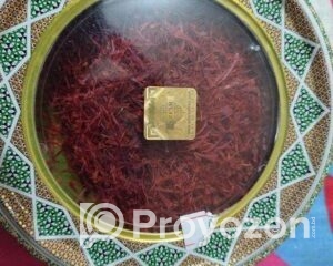 fitted-56_2025-08-31_10-37-24