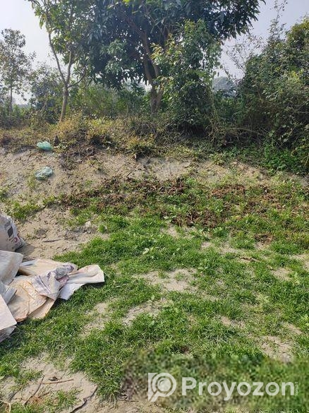 ১২ শতক ভরাট করা জমি। কাগজে শতন কিন্তু জমি আরো বেশি