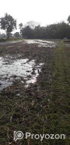 মৌলভীবাজার সমসেরগঞ্জ সড়কে ফ্যাক্টরি/ফার্ম করার উপয