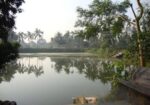 বিক্রির জন্য জমি