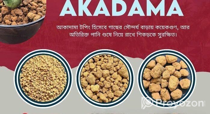 আকাদামা -akadama (গাছের বেস্ট টপিং মেটারিয়াল)