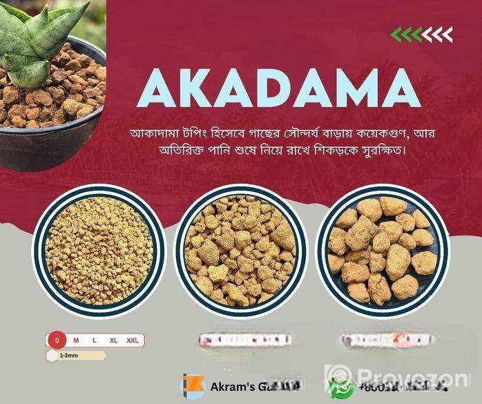 আকাদামা -akadama (গাছের বেস্ট টপিং মেটারিয়াল)