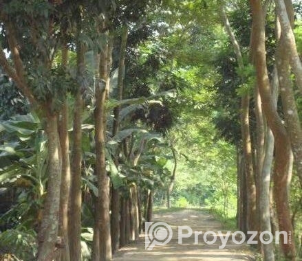 বিক্রির জন্য জমি
